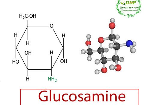 Glucosamine là gì? Review glucosamine Mỹ tốt nhất hiện nay