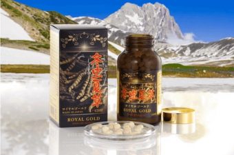 Cách sử dụng đông trùng hạ thảo Royal Gold của Nhật-1