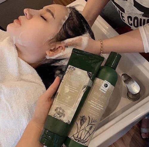 Dầu gội xả gừng hà thủ ô Weilaiya có tác dụng gì?-3